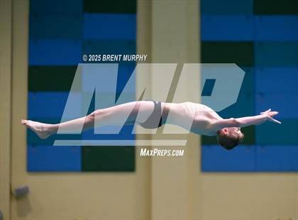 Thumbnail 2 in CHSAA 4A Dive Finals photogallery.