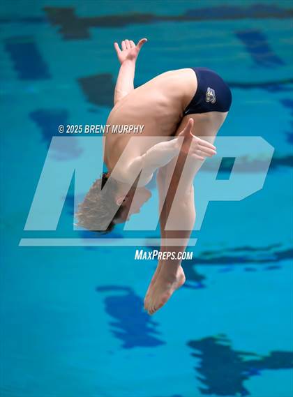 Thumbnail 3 in CHSAA 4A Dive Finals photogallery.