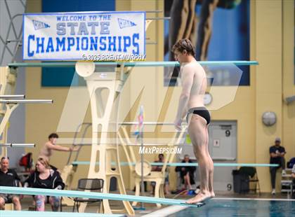 Thumbnail 2 in CHSAA 4A Dive Finals photogallery.