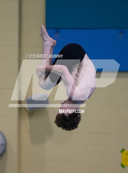 Thumbnail 1 in CHSAA 4A Dive Finals photogallery.