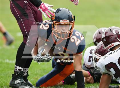 Thumbnail 1 in Ossining @ Greeley photogallery.