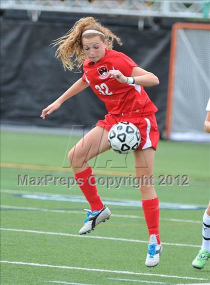 Thumbnail 1 in Cumberland Valley vs Whitehall (PIAA Final) photogallery.