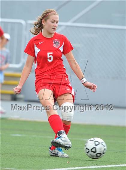 Thumbnail 1 in Cumberland Valley vs Whitehall (PIAA Final) photogallery.