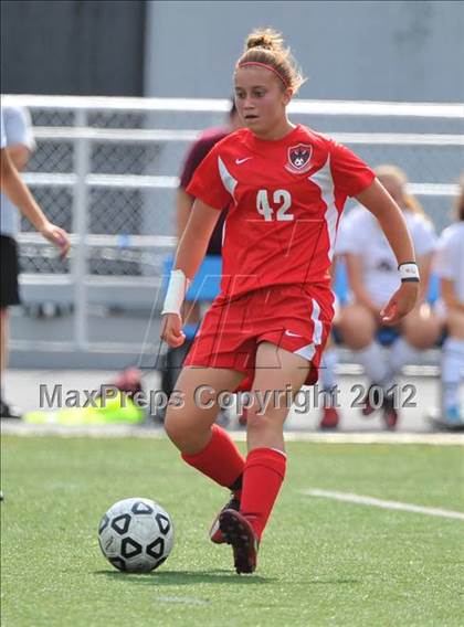 Thumbnail 2 in Cumberland Valley vs Whitehall (PIAA Final) photogallery.