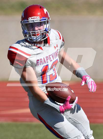 Thumbnail 3 in Grapevine @ Dunbar photogallery.