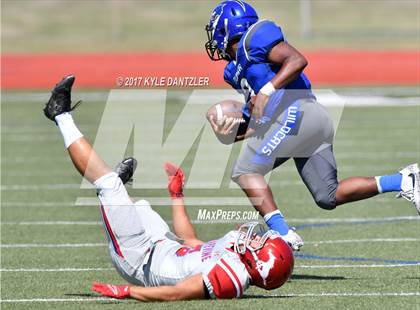Thumbnail 1 in Grapevine @ Dunbar photogallery.
