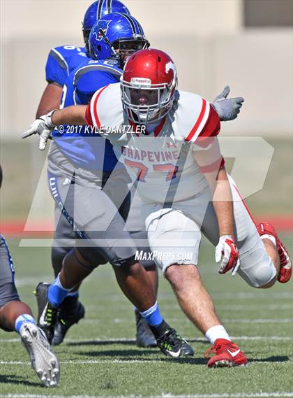 Thumbnail 3 in Grapevine @ Dunbar photogallery.