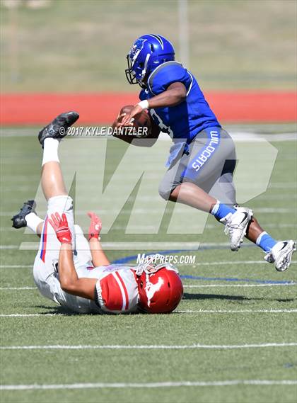 Thumbnail 3 in Grapevine @ Dunbar photogallery.