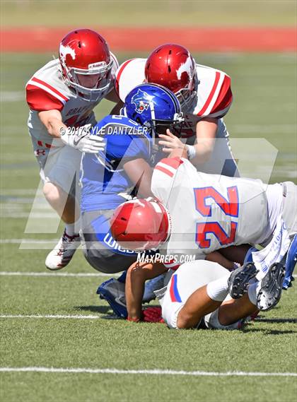 Thumbnail 3 in Grapevine @ Dunbar photogallery.