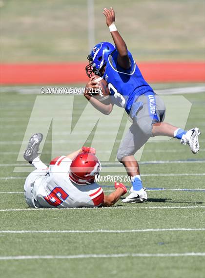Thumbnail 1 in Grapevine @ Dunbar photogallery.