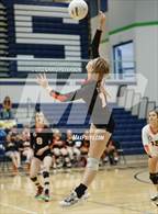 Photo from the gallery "Murray vs. Box Elder"