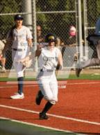 Photo from the gallery "Wilsonville @ Putnam"