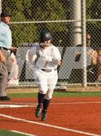 Photo from the gallery "Wilsonville @ Putnam"