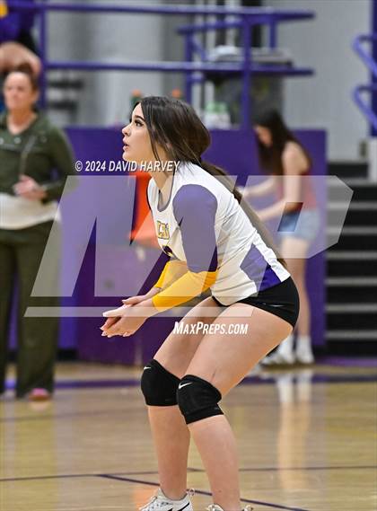 Thumbnail 3 in Pomona @ Littleton photogallery.
