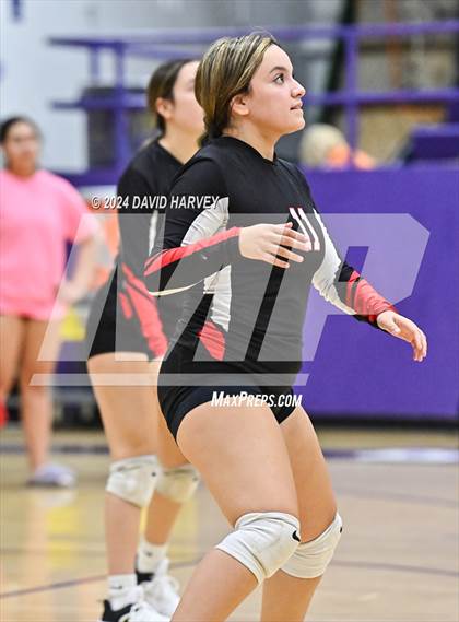 Thumbnail 3 in Pomona @ Littleton photogallery.
