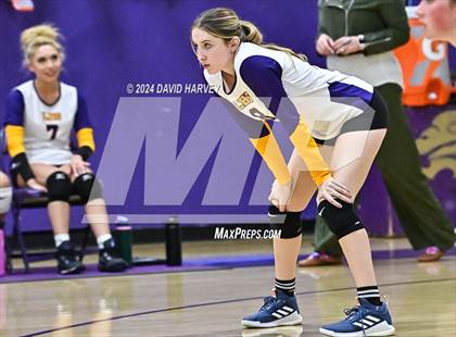 Thumbnail 1 in Pomona @ Littleton photogallery.
