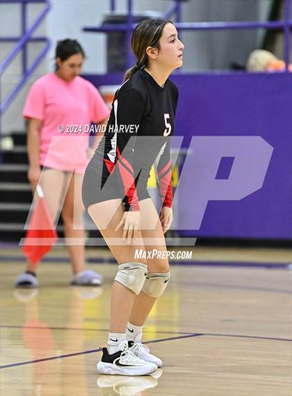 Thumbnail 3 in Pomona @ Littleton photogallery.