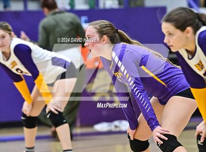 Thumbnail 3 in Pomona @ Littleton photogallery.