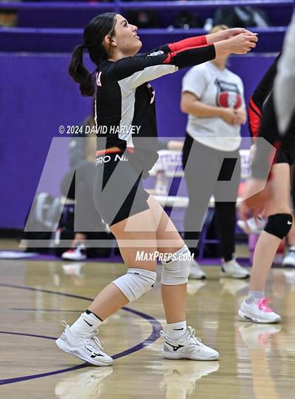 Thumbnail 3 in Pomona @ Littleton photogallery.