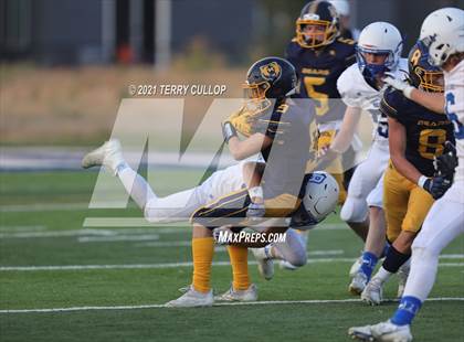 Thumbnail 2 in Beaver @ Summit Academy photogallery.