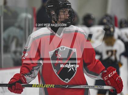 Thumbnail 1 in HighPoint/Wallkill  @ Vernon (Sussex Cup Semi Final) photogallery.
