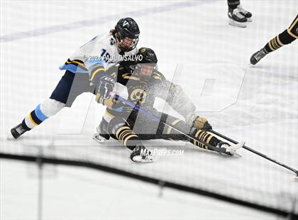 Thumbnail 1 in Monarch @ Valor Christian photogallery.