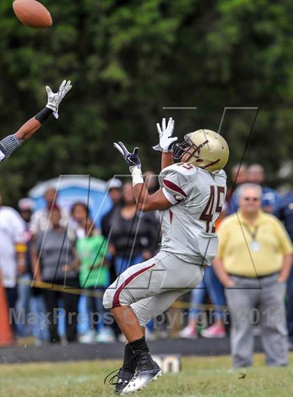 Thumbnail 2 in Douglass @ Gwynn Park photogallery.