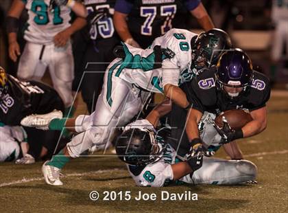 Thumbnail 2 in Pioneer Valley @ Righetti photogallery.