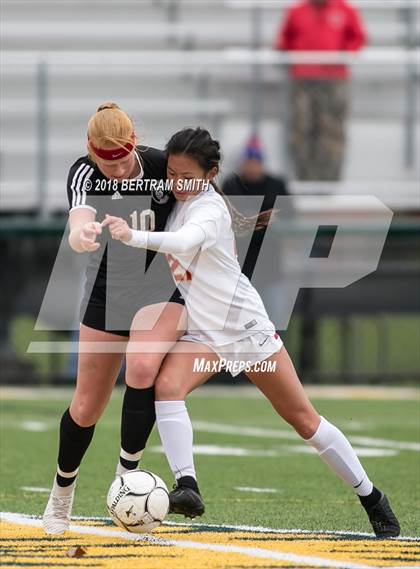 Thumbnail 1 in Niagara-Wheatfield vs Williamsville East (Section 6 Class A1 Final) photogallery.