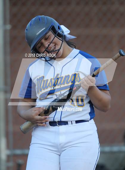 Thumbnail 1 in Douglas @ Sahuarita photogallery.
