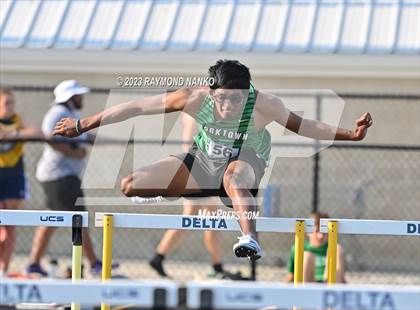 Thumbnail 1 in IHSAA Sectional 17 (110 Meter Hurdles) photogallery.