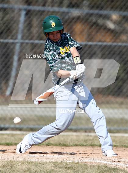 Thumbnail 2 in Crystal Lake S @ Stevenson photogallery.