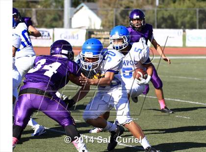 Thumbnail 3 in Lompoc @ Righetti photogallery.