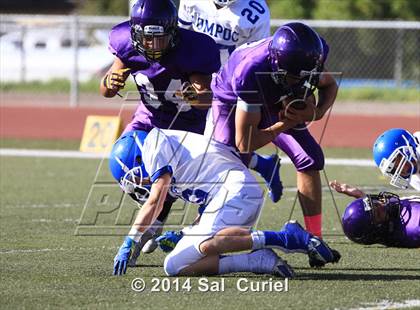 Thumbnail 1 in Lompoc @ Righetti photogallery.