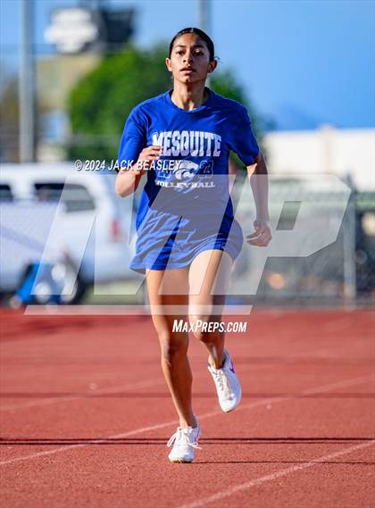 Thumbnail 3 in Mesquite, Combs, Higley, and American Leadership Academy-Ironwood @ Campo Verde photogallery.