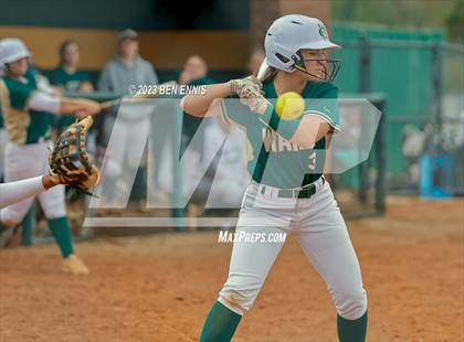 Thumbnail 1 in Arabia Mountain vs Ware County (GHSA 5A Super Regional) photogallery.