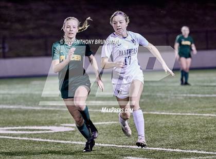 Thumbnail 1 in Placer vs. West Park (CIF SJS D4 Final) photogallery.