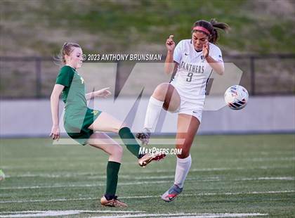 Thumbnail 1 in Placer vs. West Park (CIF SJS D4 Final) photogallery.