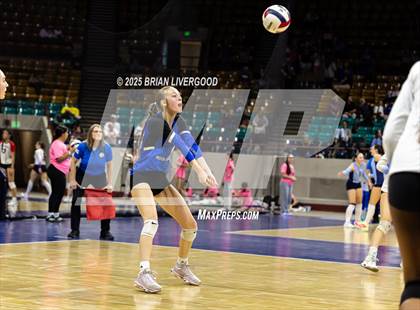 Thumbnail 2 in Alamosa vs. The Village (CHSAA 3A Third Round) photogallery.