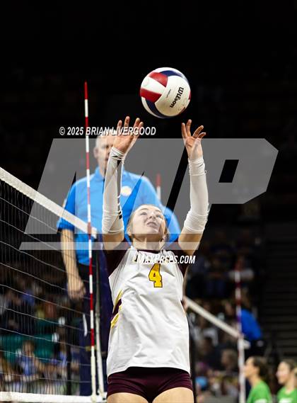 Thumbnail 1 in Alamosa vs. The Village (CHSAA 3A Third Round) photogallery.