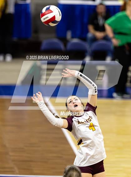 Thumbnail 1 in Alamosa vs. The Village (CHSAA 3A Third Round) photogallery.