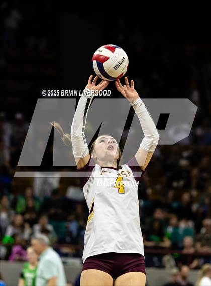 Thumbnail 1 in Alamosa vs. The Village (CHSAA 3A Third Round) photogallery.