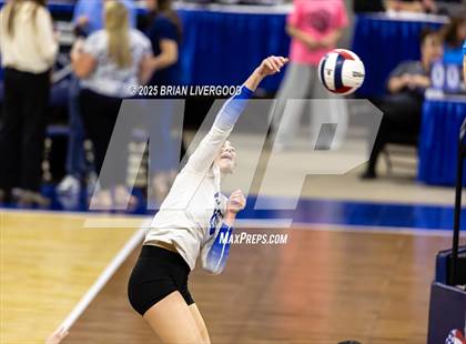 Thumbnail 2 in Alamosa vs. The Village (CHSAA 3A Third Round) photogallery.