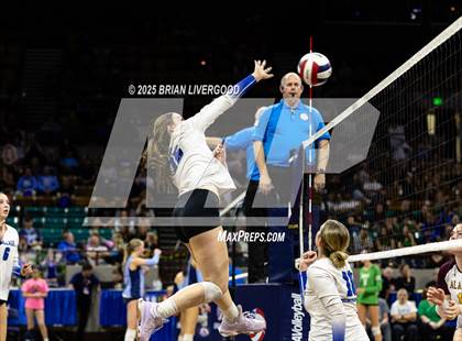 Thumbnail 3 in Alamosa vs. The Village (CHSAA 3A Third Round) photogallery.