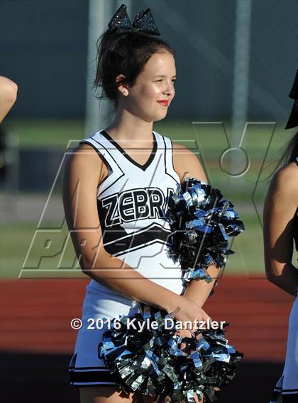 Thumbnail 2 in Grandview @ Benbrook photogallery.