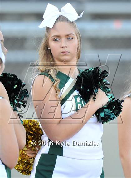 Thumbnail 3 in Grandview @ Benbrook photogallery.