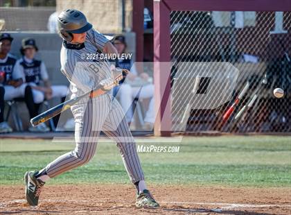 Thumbnail 2 in Basha @ Hamilton photogallery.