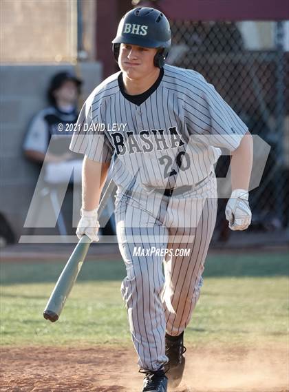 Thumbnail 1 in Basha @ Hamilton photogallery.