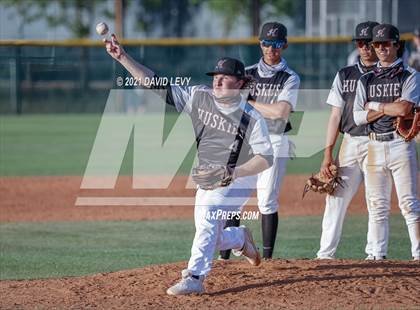 Thumbnail 3 in Basha @ Hamilton photogallery.