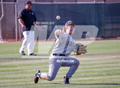 Thumbnail 3 in Basha @ Hamilton photogallery.